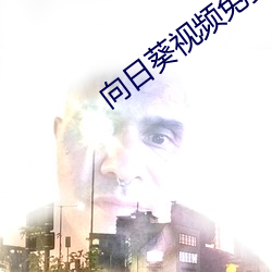 向日葵视频免费