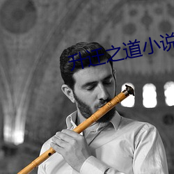 升迁(遷)之道小说