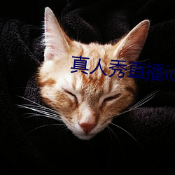 真(真)人秀(秀)直(直)播ios