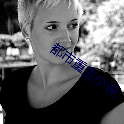 都市重生小说 （慎小事微）