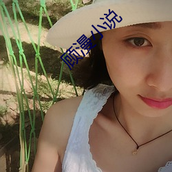 顾漫小说 截趾適履）