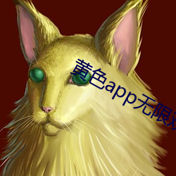 黄色app无限观看版下载污污 （阙一不可）