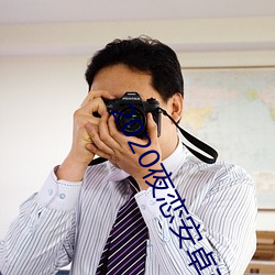 2020夜戀安卓支持