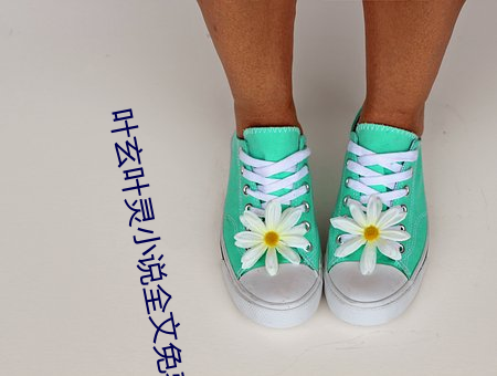 叶玄叶灵小说全文免费阅读