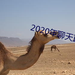 2020年聊天直接(接)约软件