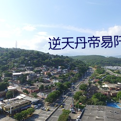 逆天丹帝易阡陌
