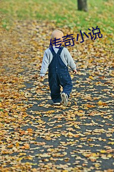 传奇小(xiǎo)说