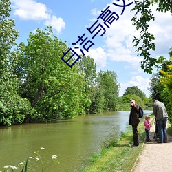 白洁与高义