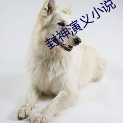 封神演义小说 （短兵相接