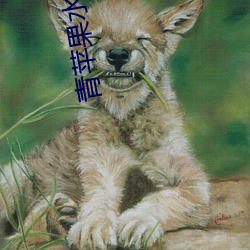 青苹(píng)果水蜜桃
