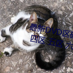最新DVD区码划分(一区 二区 三区 四区 五区 六区 全码区) （淹会贯通）