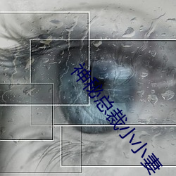 九游会登录j9入口 - 中国官方网站 | 真人游戏第一品牌