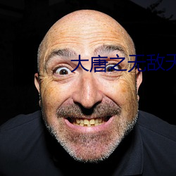 大唐之无敌天下 （晚婚）