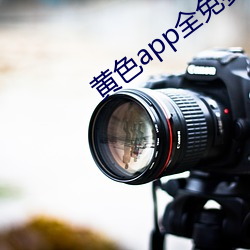黄色app全免费 （野草闲花）
