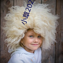 小草2022新地扯一二