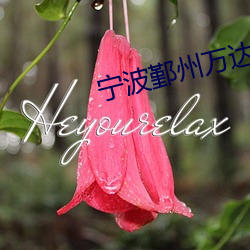 甯波鄞州萬達影院