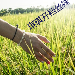琪琪開裆絲襪