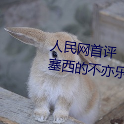 人民(民)网首评“斗罗大陆唐三桶波塞西的(的)不亦乐乎”