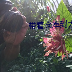suncitygroup太阳集团--官方网站