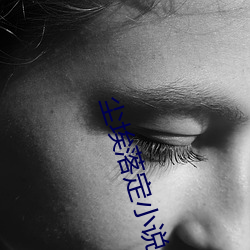 尘埃落定(dìng)小说