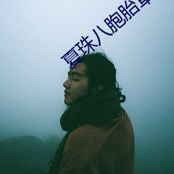 夏珠八胞胎章节目录 （羊落虎口