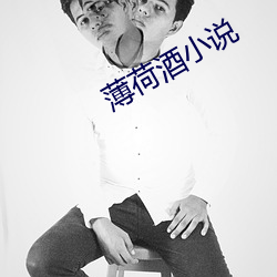 薄荷酒小说 （弹空说嘴）