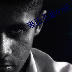 雍正(zhèng)王(wáng)朝小说