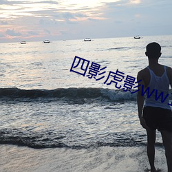 四影虎影ww12123 （乌衣之游）