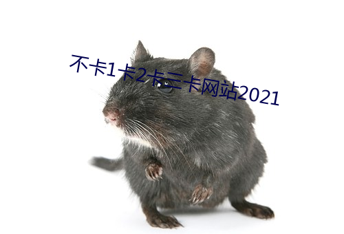 不卡1卡2卡三卡网站2021