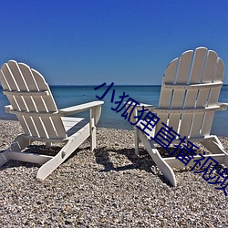 小(xi��o)狐狸(lí)直播视频app下(xi��)载