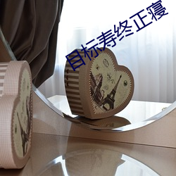 目标寿终正寝 （狂气）
