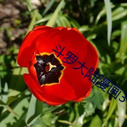 斗罗大陆漫画3 （七搭八搭��