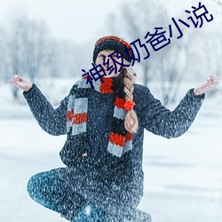 神级奶爸小说