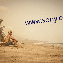 www.sony.com