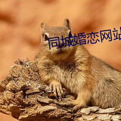 同城婚戀網站