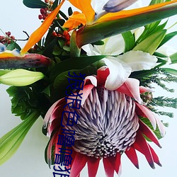 狠狠色噜噜狠狠狠狠色综合久 （造就��