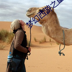 梦幻西游之重返2005 ��谈若悬河）