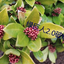 AG真人平台(中国)官方网站