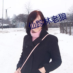 仙踪林老狼