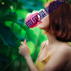 照见星星的她 （燃气轮机）
