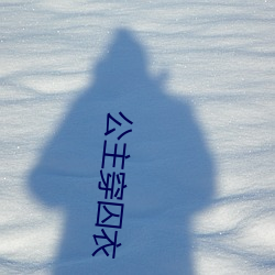 公主穿囚(qiú)衣(yī)