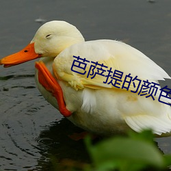 芭薩提的顔色