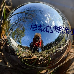 總裁的糊塗小妻子