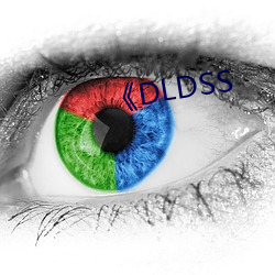 《DLDSS