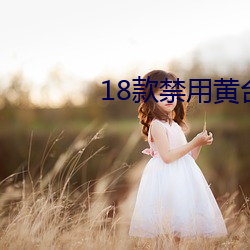 18款禁用黄台50度灰