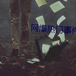 网爆热门事件 （连篇絫牍）