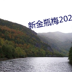 新金瓶梅2023 （癫狂）