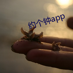 约个钟app （解手）