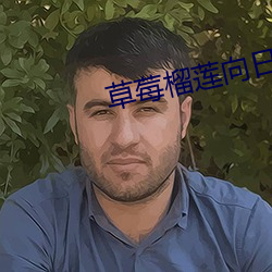 草莓榴蓮向日葵18注意