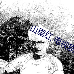 ca88手机客户端(安卓/苹果)CA88会员登录入口